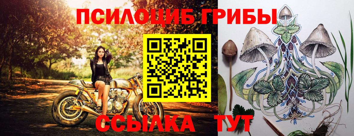 Псилоцибиновые грибы прущие грибы Белово