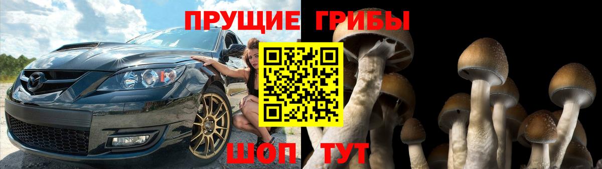 Галлюциногенные грибы Magic Shrooms  Вход с VPN  Белово  Галлюциногенные грибы MAGIC MUSHROOMS 